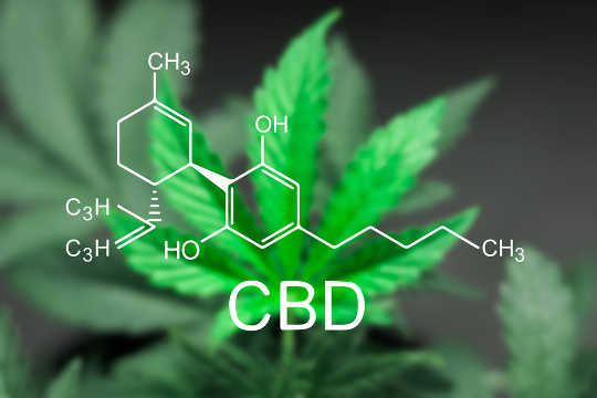 Cannabis Compounds Have Been Shown To Slow Colon Cancer In The Lab