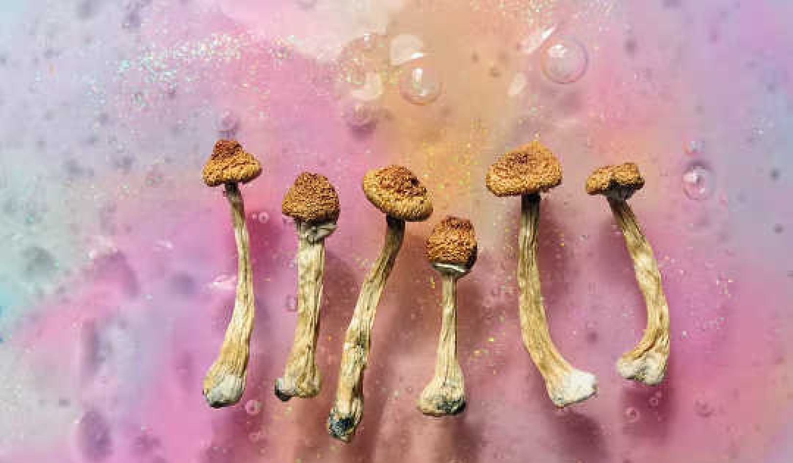 How Psychedelics Can Relieve Depression