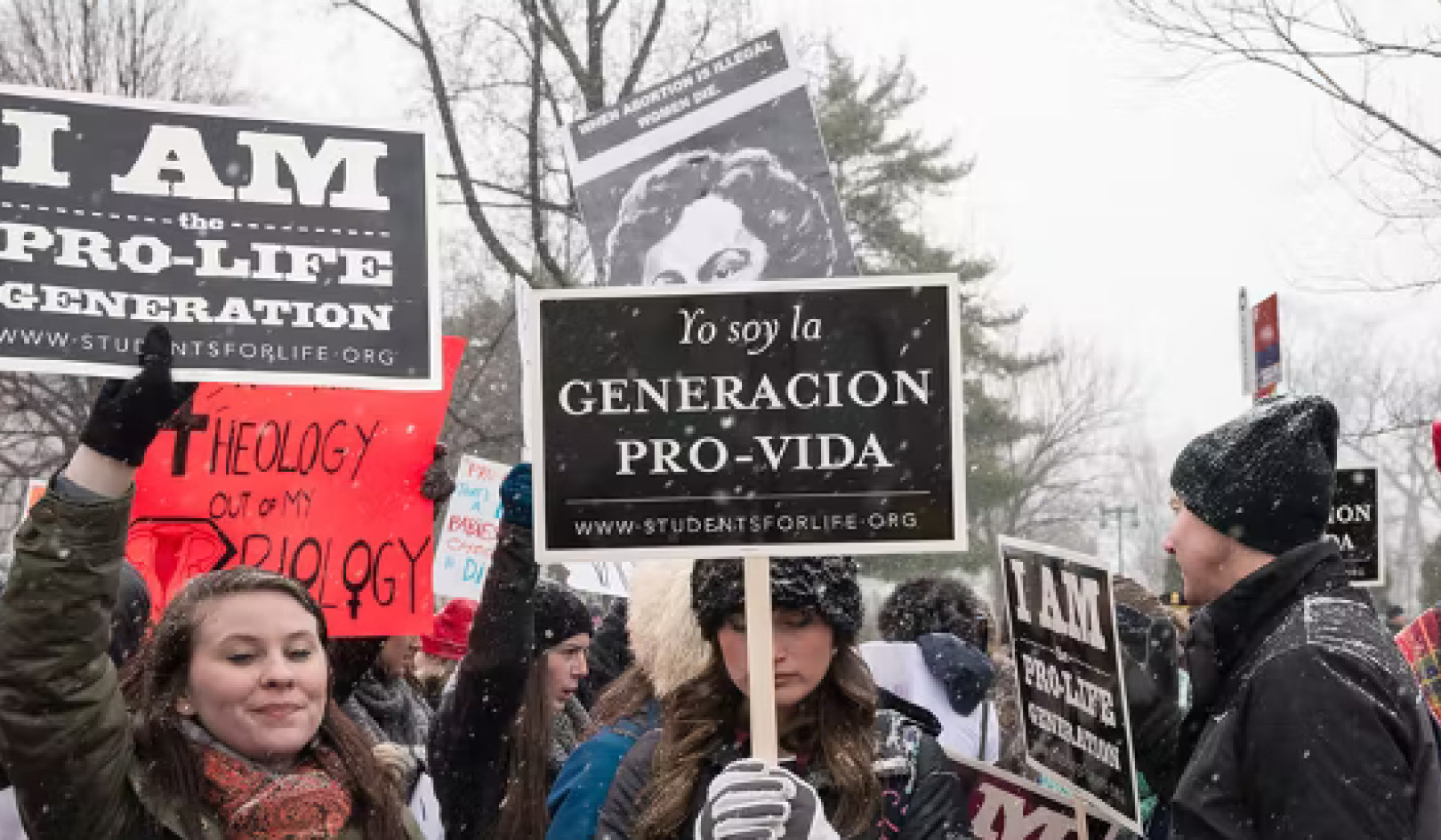 What Really Drives Anti-abortion Beliefs?