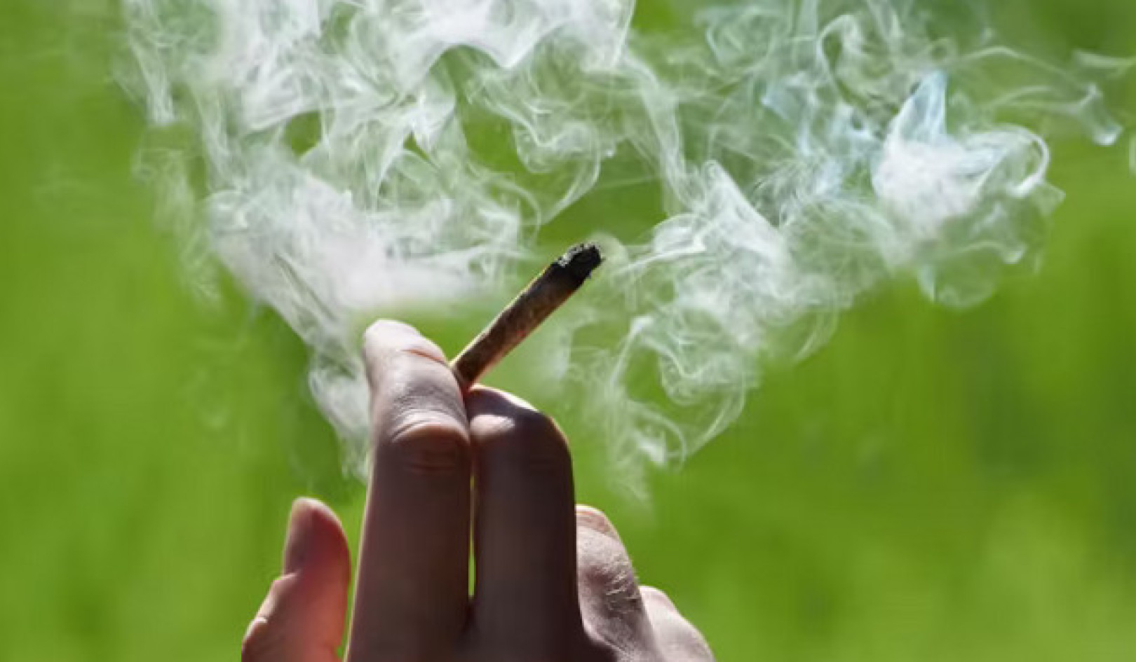 The Hidden Dangers of Cannabis Smoke: A Physician Weighs In