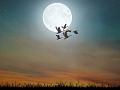 full moon with Canada geese flying in front of it